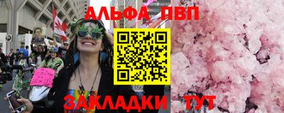 прущие грибы Сосновый Бор