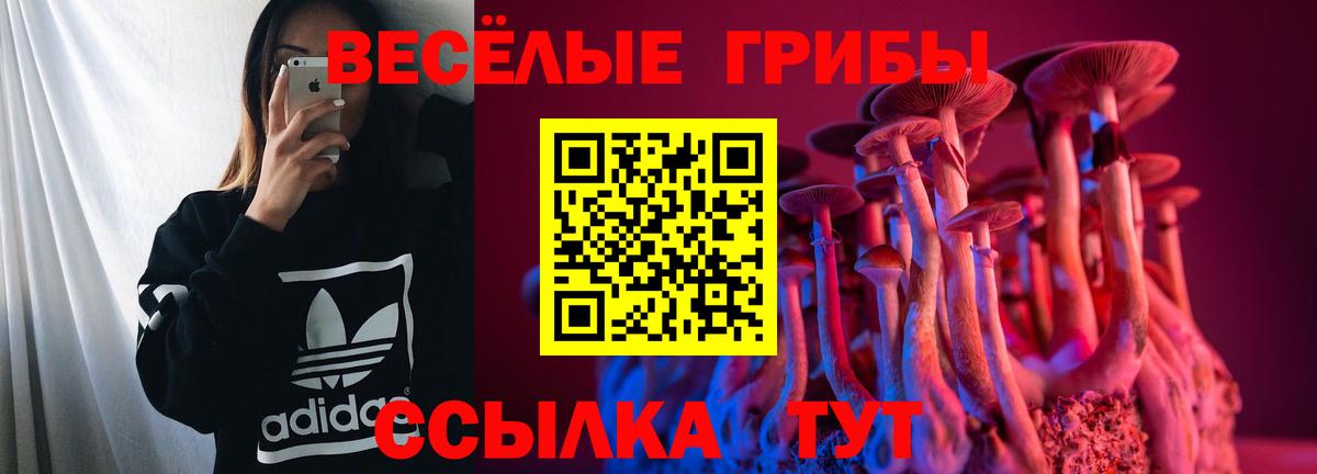 как найти закладки  Галлюциногенные грибы ЛСД  Вход с VPN  Белая Калитва 