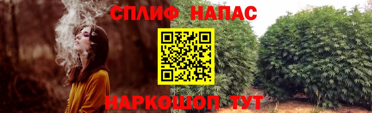 Конопля SATIVA & INDICA  Бошки Шишки Ganja  Белая Калитва  Вход с VPN  Марихуана OG Kush 